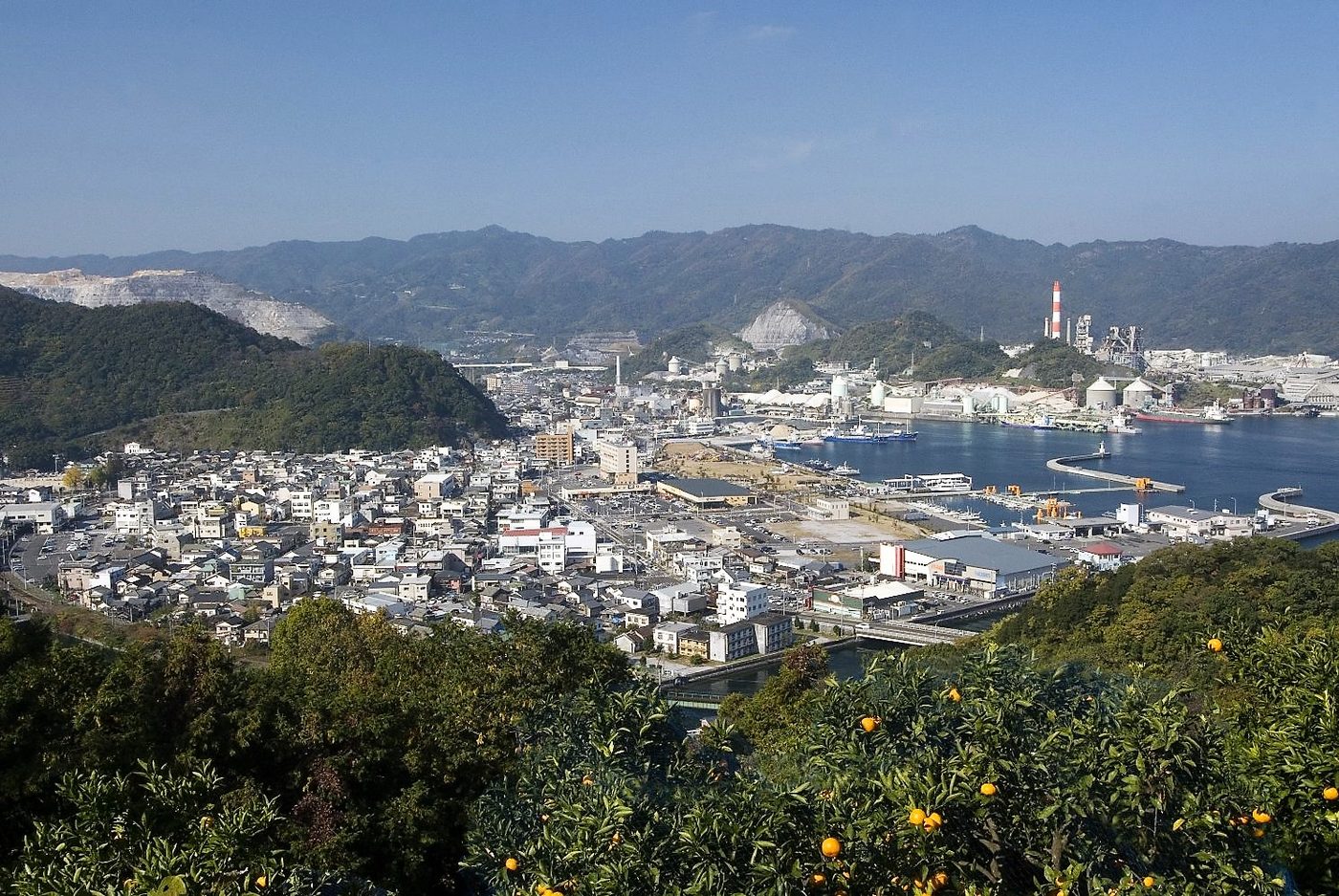 高台から見た津久見の町と港。手前に柑橘の畑